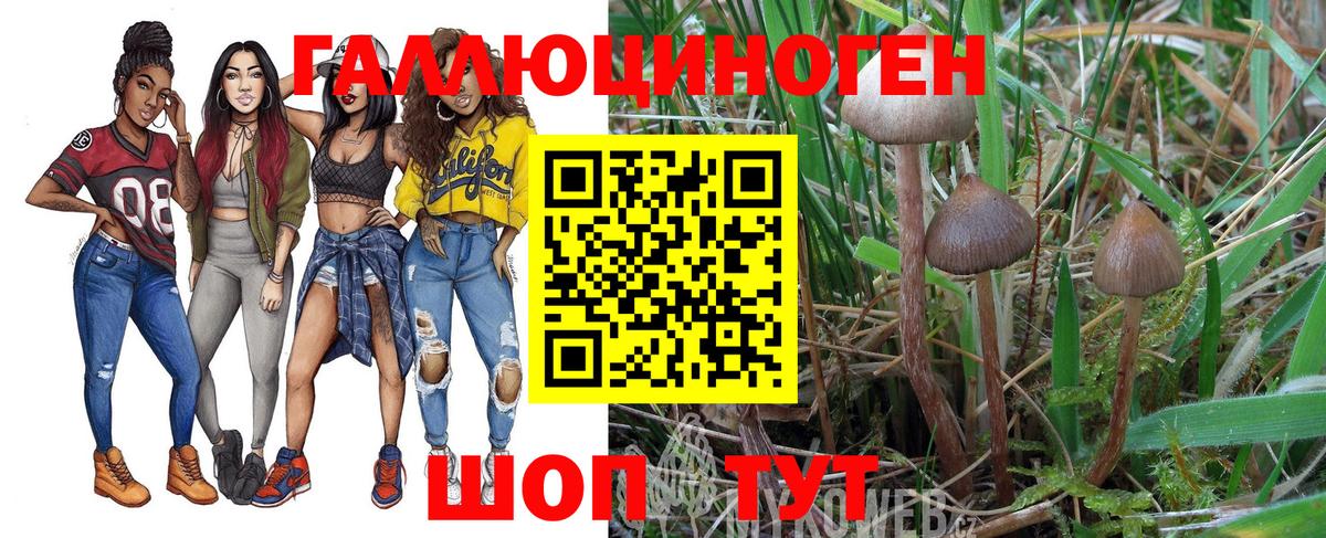 Галлюциногенные грибы мицелий  Вход с VPN  Орехово-Зуево  Псилоцибиновые грибы мицелий 